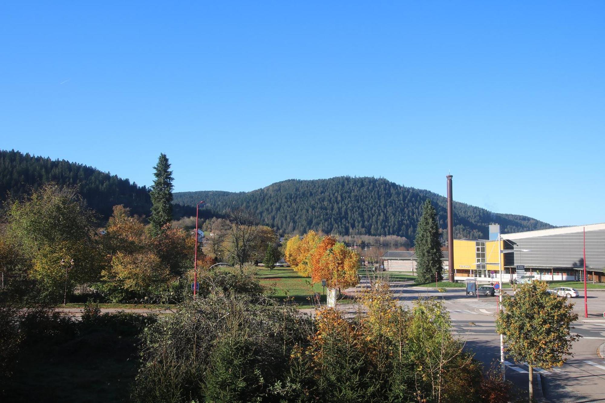 Les Loges Du Parc Hotel Gérardmer Cameră foto